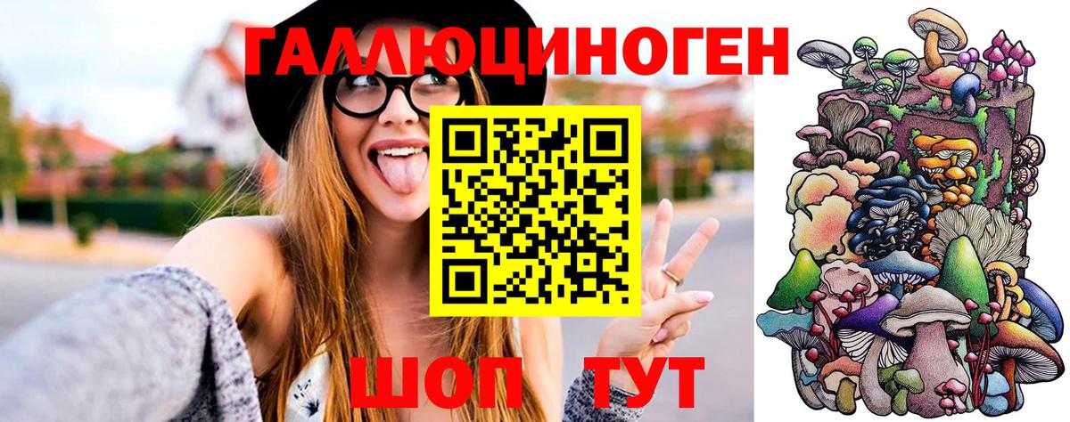 Галлюциногенные грибы Psilocybine cubensis  Вход с VPN  Алейск 